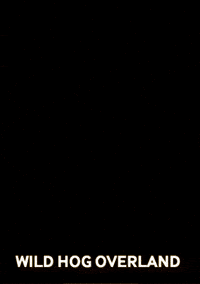 Wild Hog GIF by Wild Hog Overland