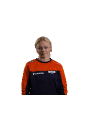 Teamnl Speedskating Sticker by Shapevisions