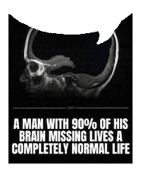 Life Missing Sticker