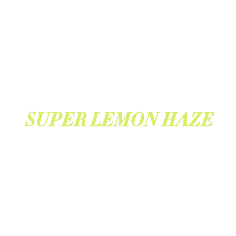 neon lemon Sticker by INFSD