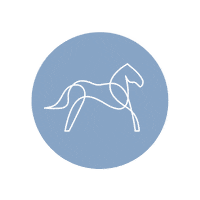 Pferdechiro Sticker by Pferdechiro_sarahpoth