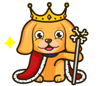 Dog GIF by JPedicini