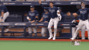 Excited Major League Baseball GIF by MLB