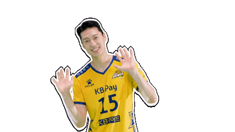 Kb스타즈 Sticker by KB STARS VOLLEYBALL CLUB