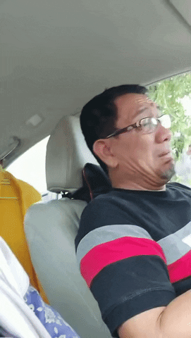 cuteanimalland giphyupload GIF