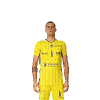Stal_Nysa volleyball block plusliga blok Sticker
