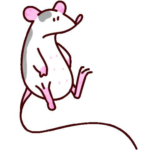 Rat Sticker