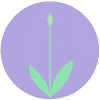 Happy Flower Sticker