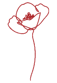 Red Poppy Flower Sticker by Bobby Universe