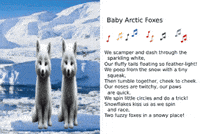 Animated Cards GIF