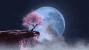 Wallpaper GIF