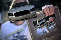 Picture Photograph GIF