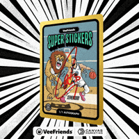 Collect 1 Of 1 GIF by VeeFriends