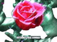 Sorry Good Morning Sticker by PEEKASSO