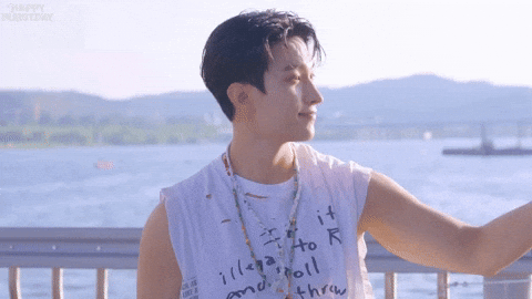 Dk 세븐틴 GIF