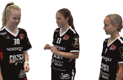 Floorball Salibandy Sticker by F-liiga