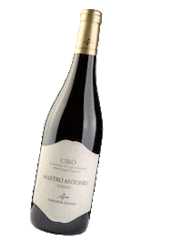 romanoeadamo romano adamo Sticker