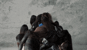 Music Video Winter GIF by aespa