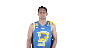 IBLindonesia basketball 2021 indonesia league Sticker