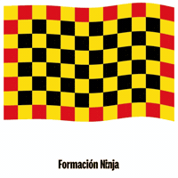 Flag Spain GIF by Formación Ninja