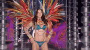 vsfs 2017 GIF by Victoria's Secret Fashion Show