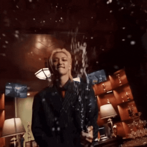 Stray Kids Skz GIF