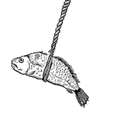 Art Illustration Sticker