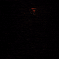 life time GIF by Jean Scuderi