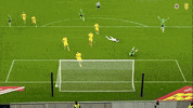 Jamie Reid Goal GIF by Northern Ireland