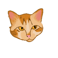 Cat Sticker