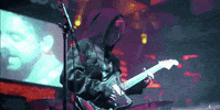ithemighty music live guitar band GIF