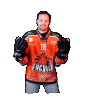 Eishockey Sticker by EHC Visp