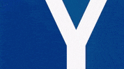 Soccer Bundesliga GIF by Karlsruher SC