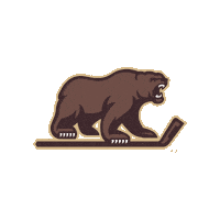 hersheybears hockey bears hershey hershey bears Sticker