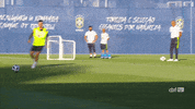 treino da selecao GIF by Confederação Brasileira de Futebol