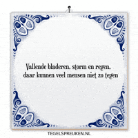 Storm Nl GIF by Tegelspreuken.nl