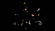 Animation Glowing GIF by youmotion.com