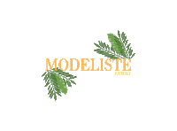 modelistemagazine modeliste Sticker