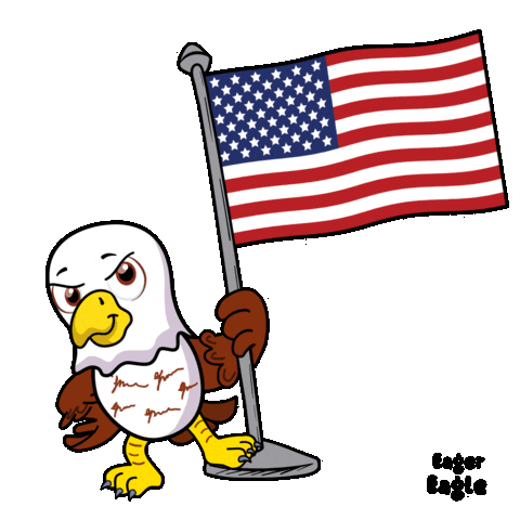 American Usa Sticker by VeeFriends