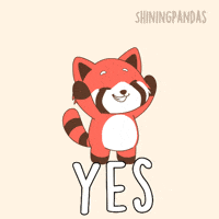 Lets Go Yes GIF