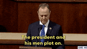 Adam Schiff Impeachment GIF