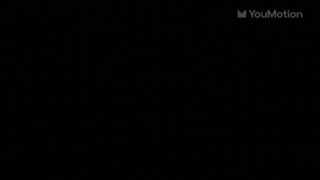 Paws Transitions