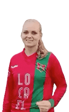 Haarlem Sticker by DSS Voetbal