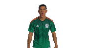 Celebrating World Cup Sticker by MiSelecciónMX