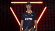 Vbl Gesture GIF by Bundesliga