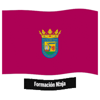 Flag Spain Sticker by Formación Ninja