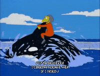 season 9 GIF