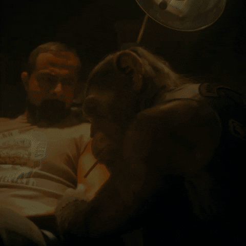 Season 3 Netflix GIF by The Umbrella Academy