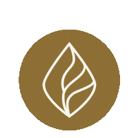 Lp Sticker by The Pentecostals