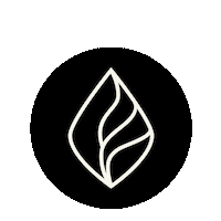 Lp Sticker by The Pentecostals